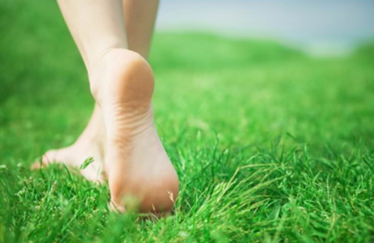 Ноги на траве